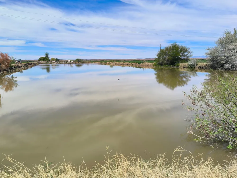 Mixed use farm for sale in Beaufort West Rural - 1KK1722692 Mixed use farm for sale in Beaufort West Rural - 1KK1722692