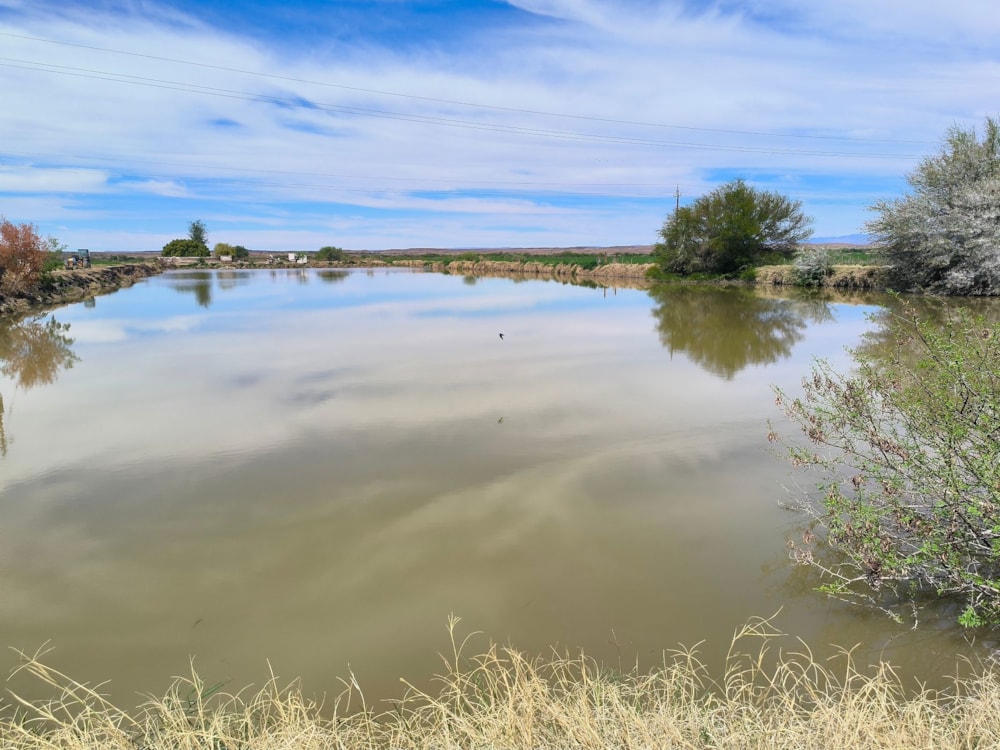 Mixed use farm for sale in Beaufort West Rural - 1KK1722692 Mixed use farm for sale in Beaufort West Rural - 1KK1722692