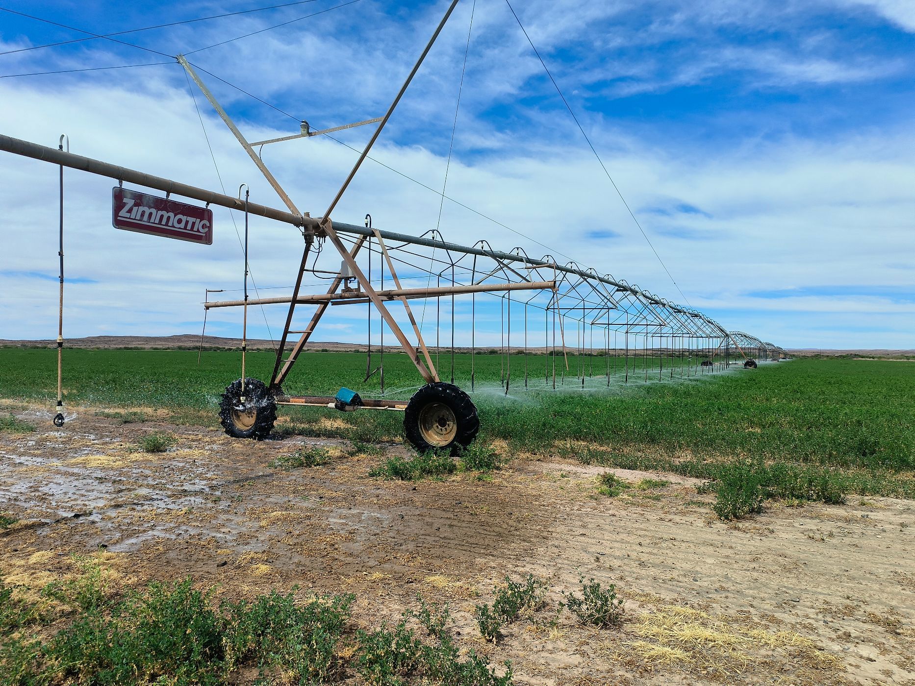 Mixed use farm for sale in Beaufort West Rural - 1KK1722692