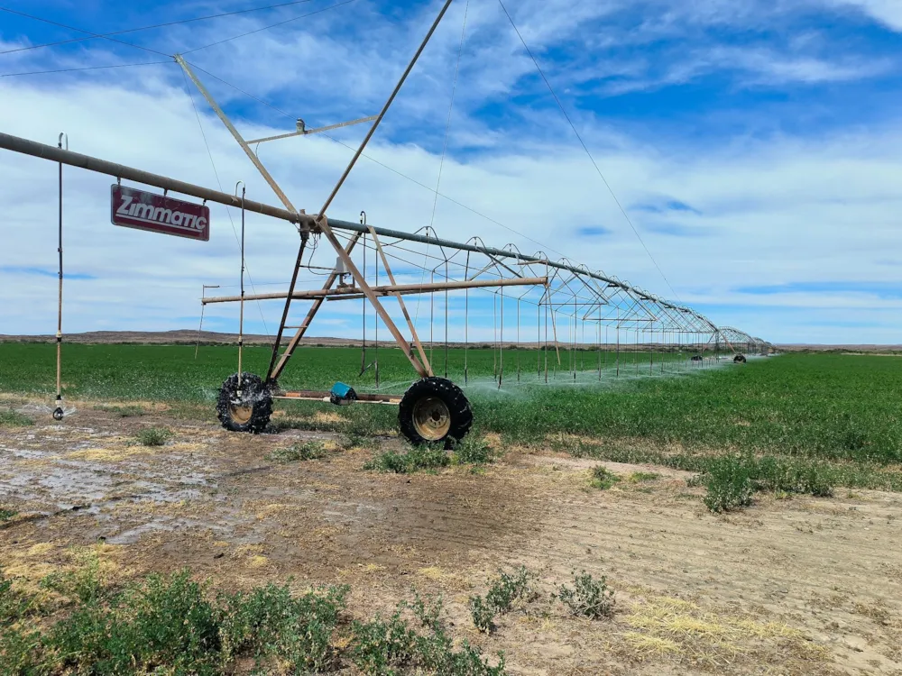 Mixed use farm for sale in Beaufort West Rural - 1KK1722692 Mixed use farm for sale in Beaufort West Rural - 1KK1722692