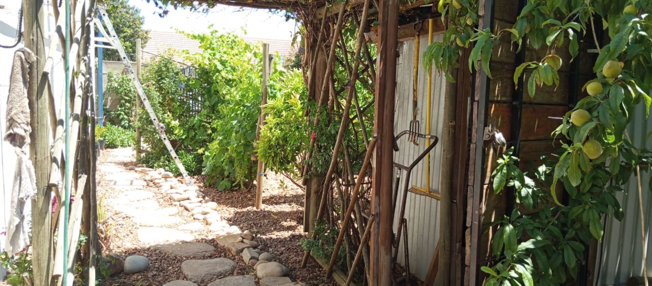 House for sale in Albertinia - 1SR1722694