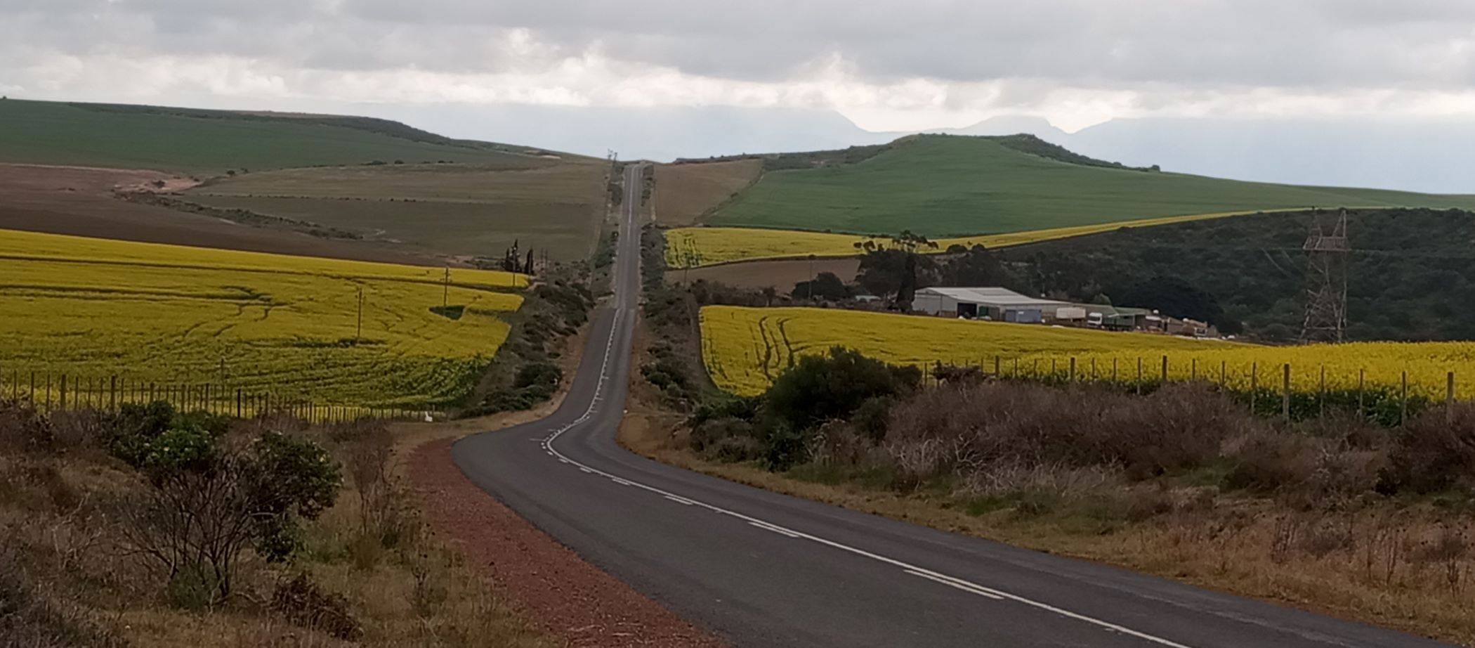 Vacant land for sale in Albertinia - 1SR1722797