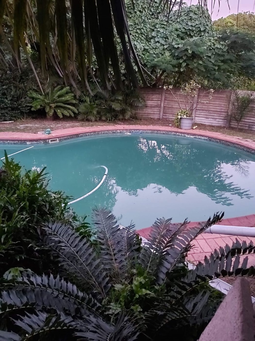 House for sale in Arboretum, Richards Bay - 1RY1722729