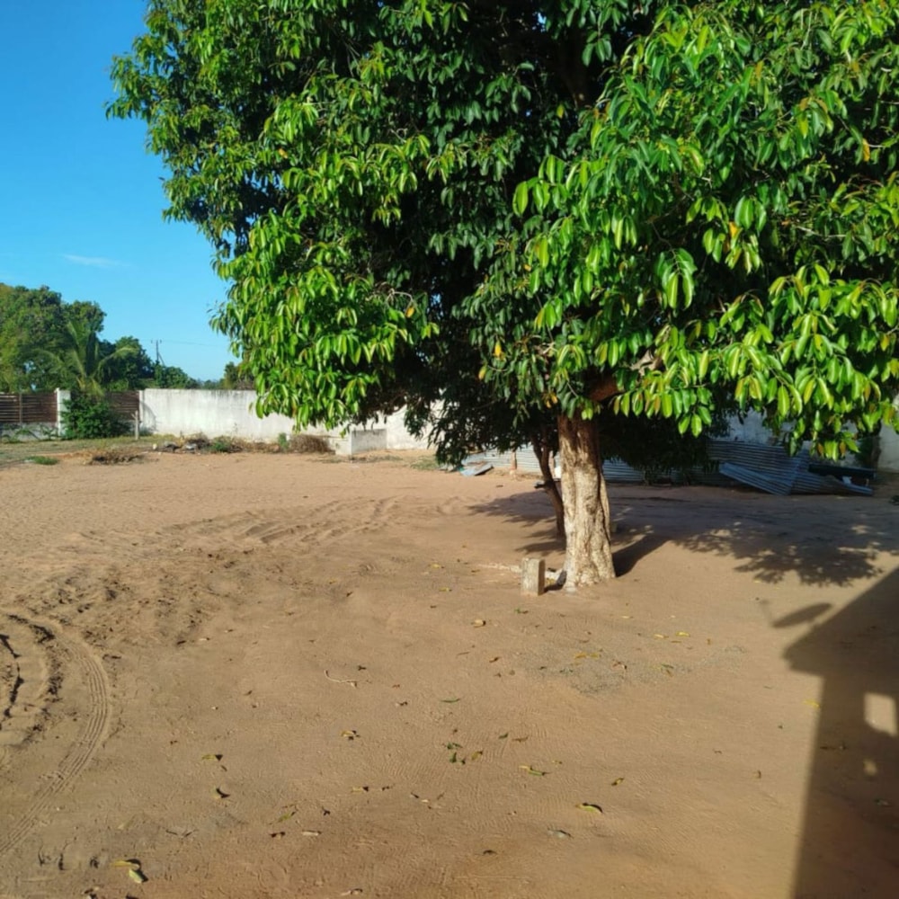 Commercial business to rent in Pemba, Cabo Delgado, Mozambique - 3MQ1722800 Commercial business to rent in Pemba, Cabo Delgado, Mozambique - 3MQ1722800