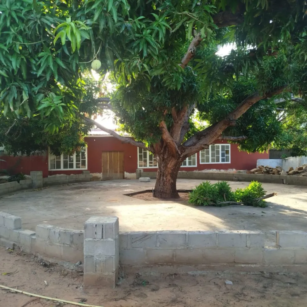 Commercial business to rent in Pemba, Cabo Delgado, Mozambique - 3MQ1722800 Commercial business to rent in Pemba, Cabo Delgado, Mozambique - 3MQ1722800