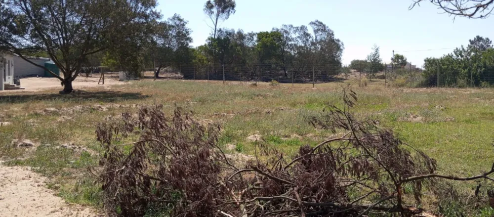 Vacant land for sale in Albertinia - 1SR1722804 Vacant land for sale in Albertinia - 1SR1722804
