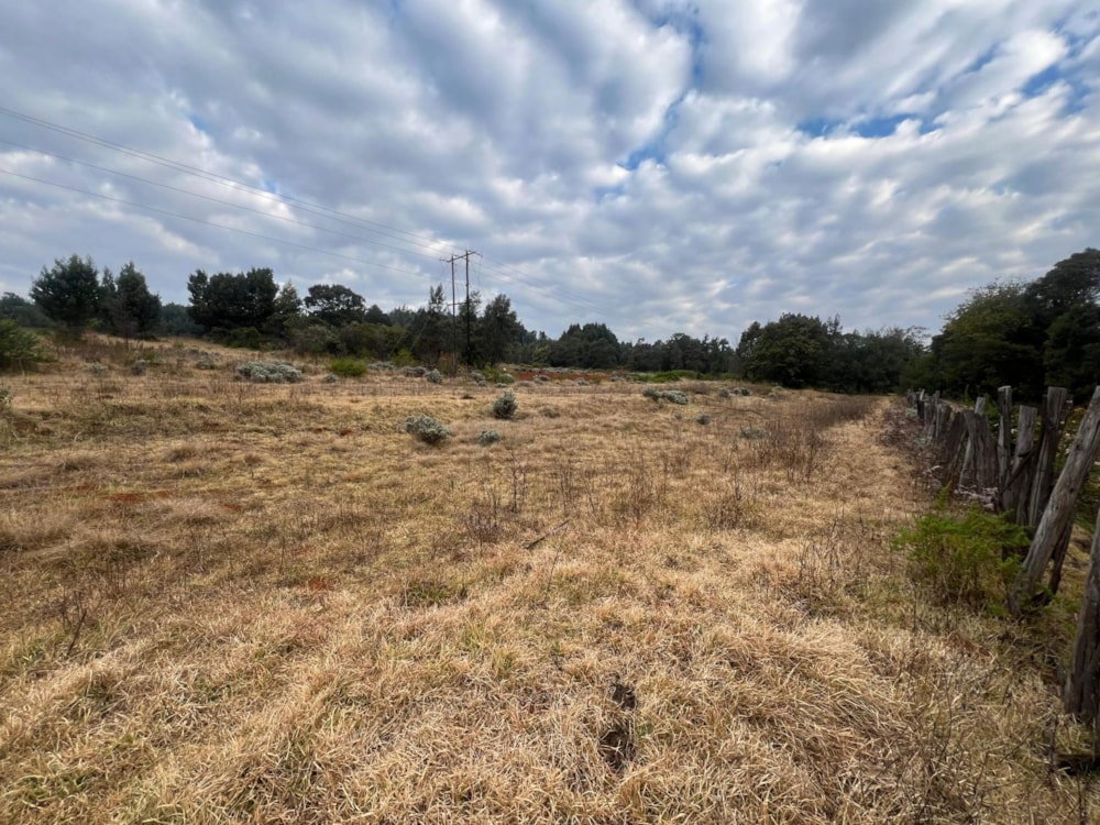 Residential vacant land for sale in Nyanga, Zimbabwe - 3ZB1722818 Residential vacant land for sale in Nyanga, Zimbabwe - 3ZB1722818