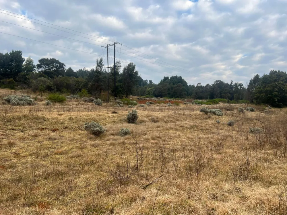 Residential vacant land sold in Nyanga, Zimbabwe - 3ZB1722818 Residential vacant land sold in Nyanga, Zimbabwe - 3ZB1722818