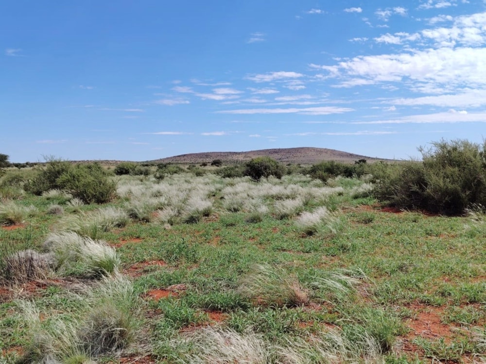 Livestock farm for sale in Groblershoop - 1KAH1723303 Livestock farm for sale in Groblershoop - 1KAH1723303