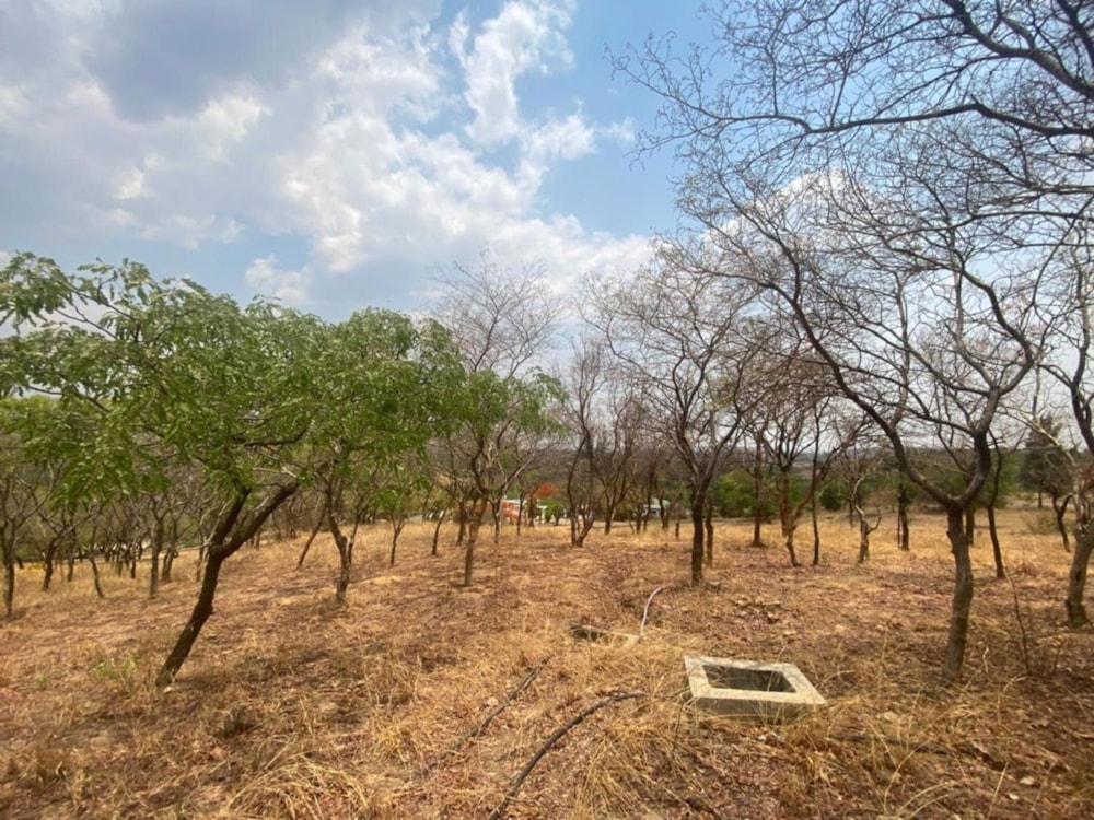 House for sale in Chilanga, Zambia - 3ZA1723083