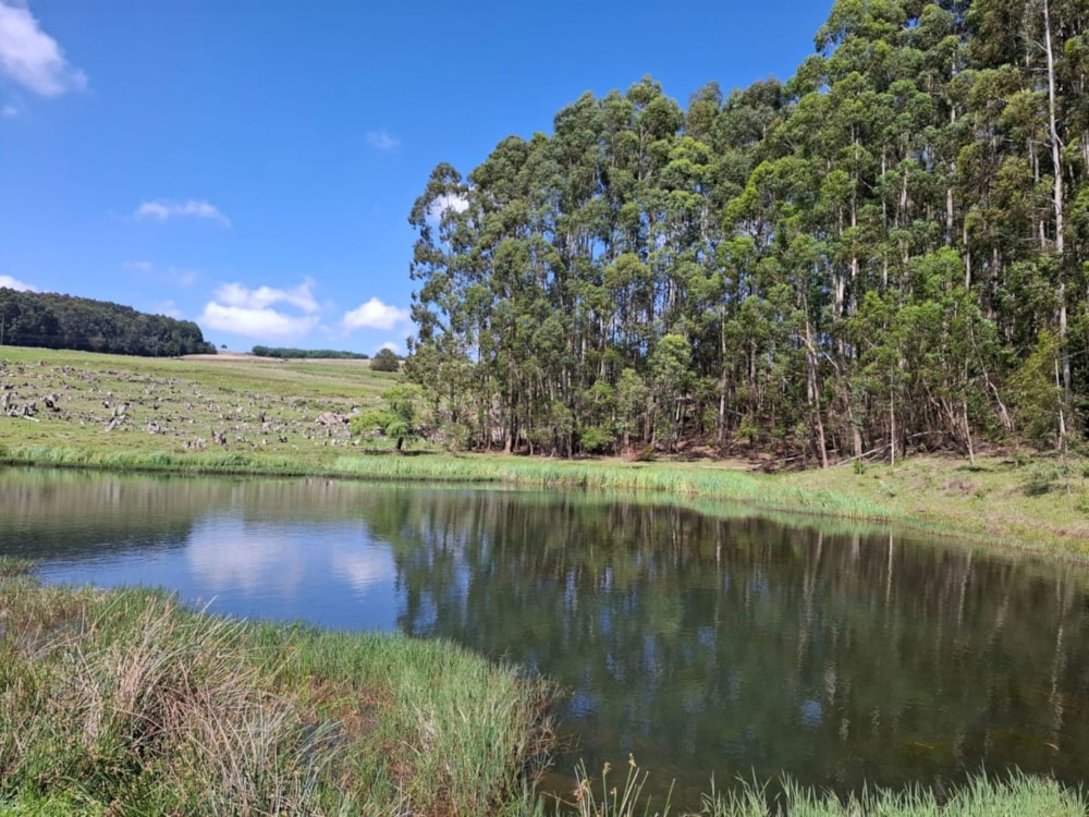 Mixed use farm for sale in Dullstroom - 1DS1723125 Mixed use farm for sale in Dullstroom - 1DS1723125