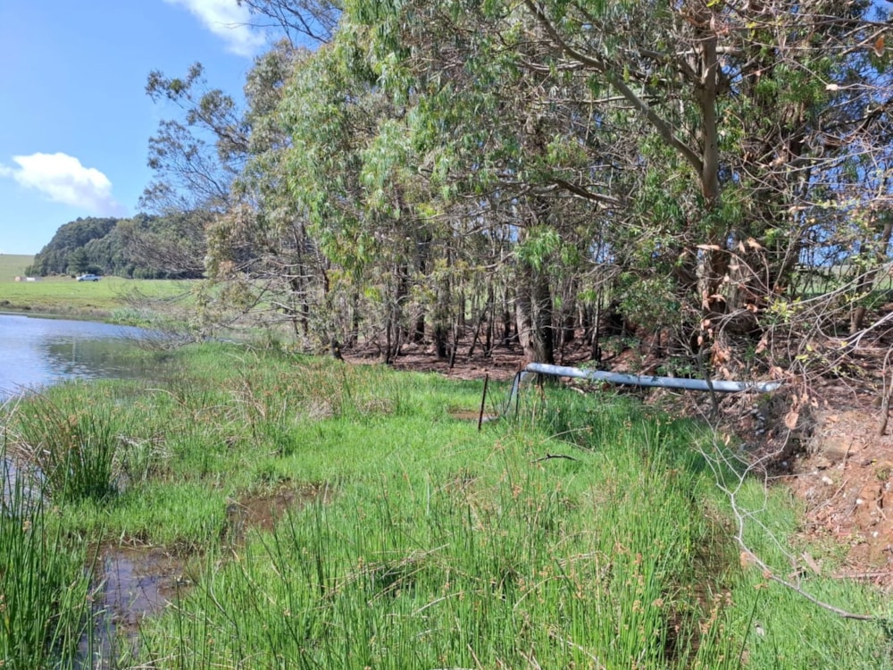 Mixed use farm for sale in Dullstroom - 1DS1723125 Mixed use farm for sale in Dullstroom - 1DS1723125