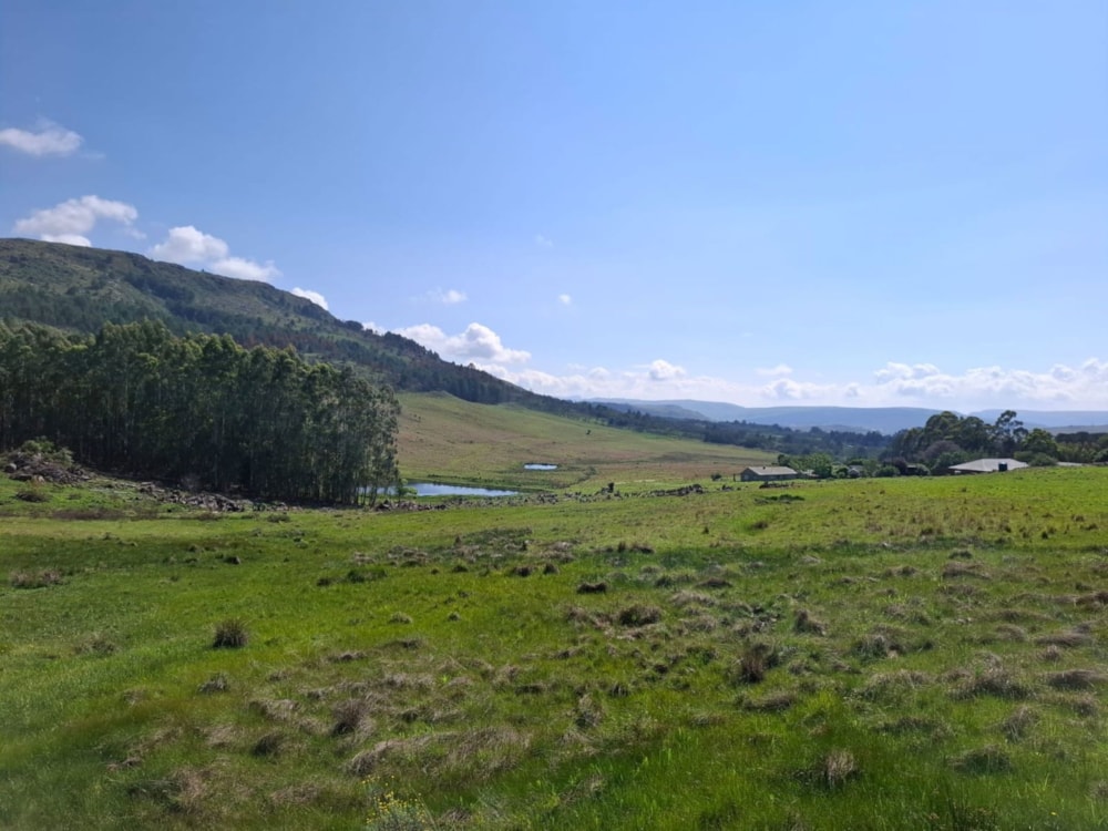 Mixed use farm for sale in Dullstroom - 1DS1723125 Mixed use farm for sale in Dullstroom - 1DS1723125