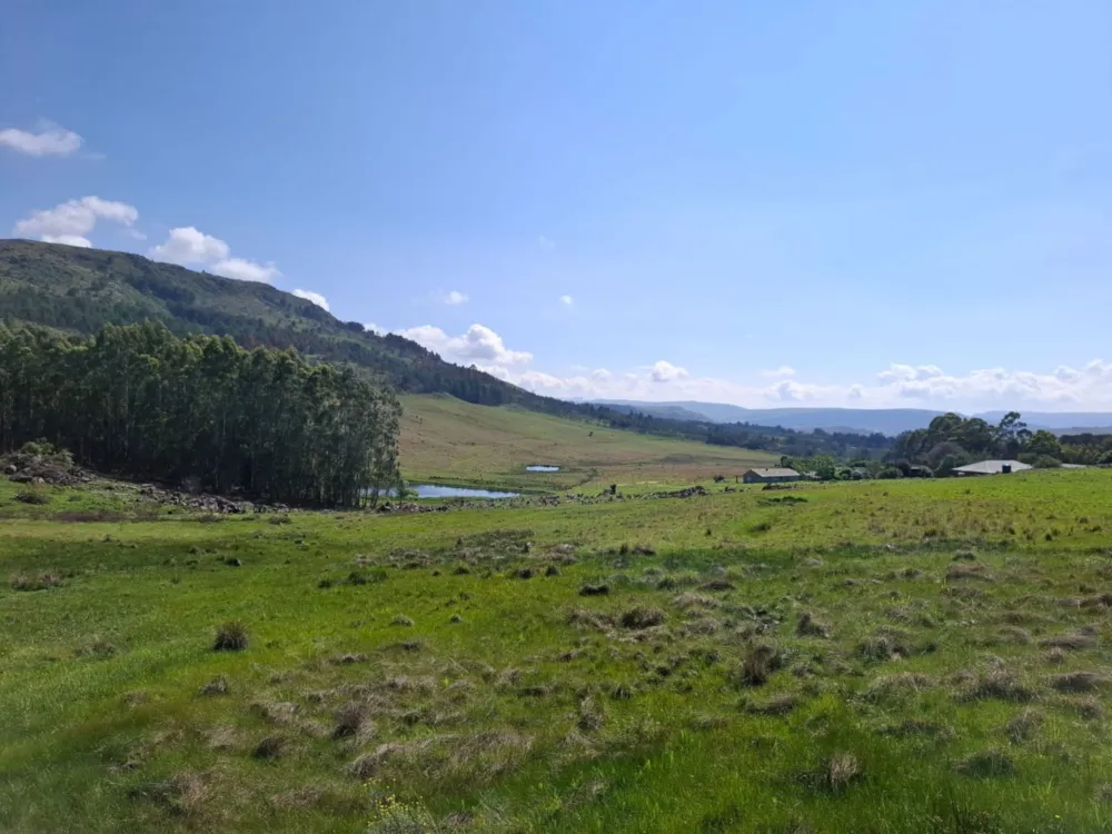 Mixed use farm for sale in Dullstroom - 1DS1723125 Mixed use farm for sale in Dullstroom - 1DS1723125