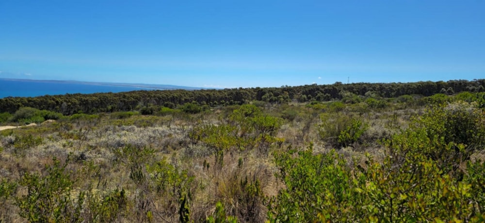 Residential vacant land for sale in Paradise Coast - 1MB1723157 Residential vacant land for sale in Paradise Coast - 1MB1723157