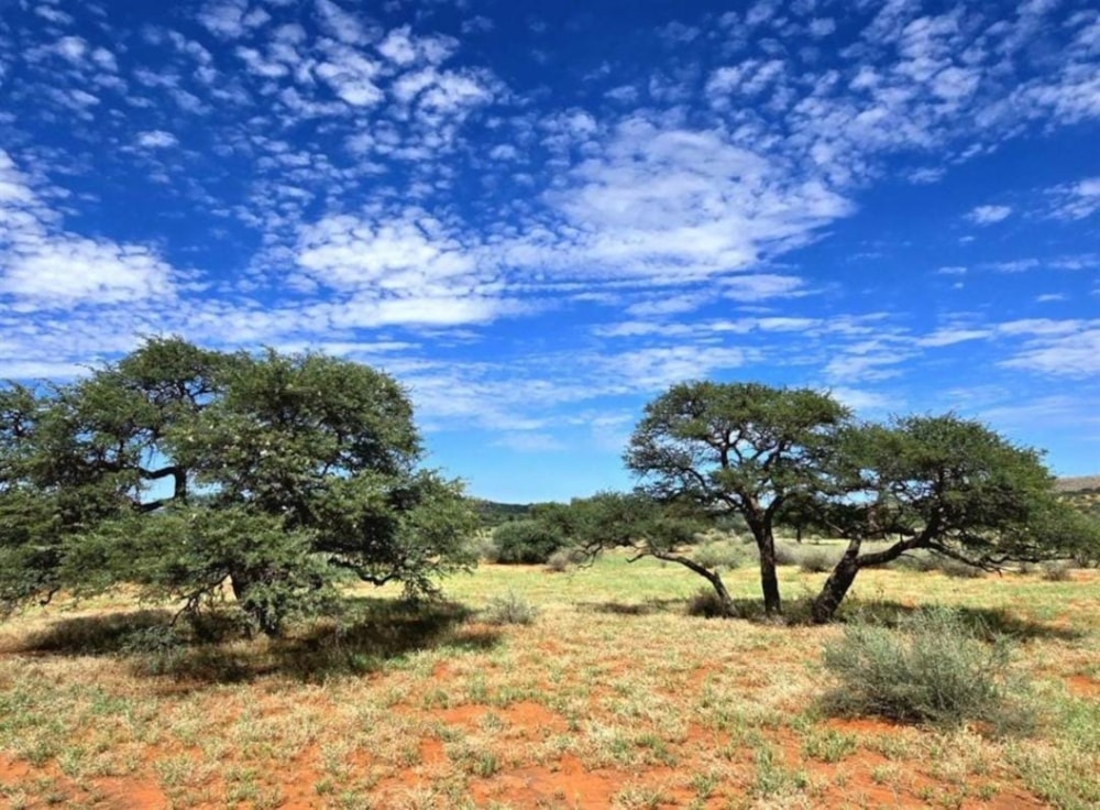 Livestock farm for sale in Griekwastad, Northern Cape - 1KJ1723341 Livestock farm for sale in Griekwastad, Northern Cape - 1KJ1723341