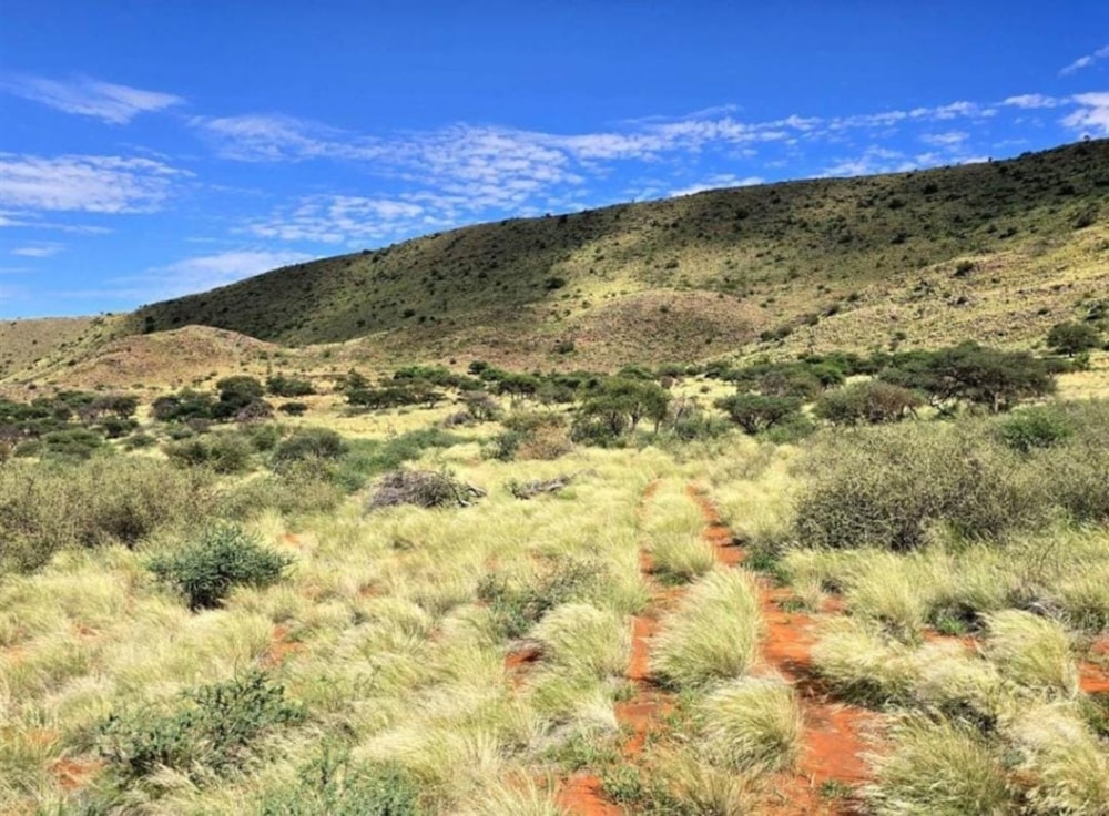 Livestock farm for sale in Griekwastad, Northern Cape - 1KJ1723341 Livestock farm for sale in Griekwastad, Northern Cape - 1KJ1723341