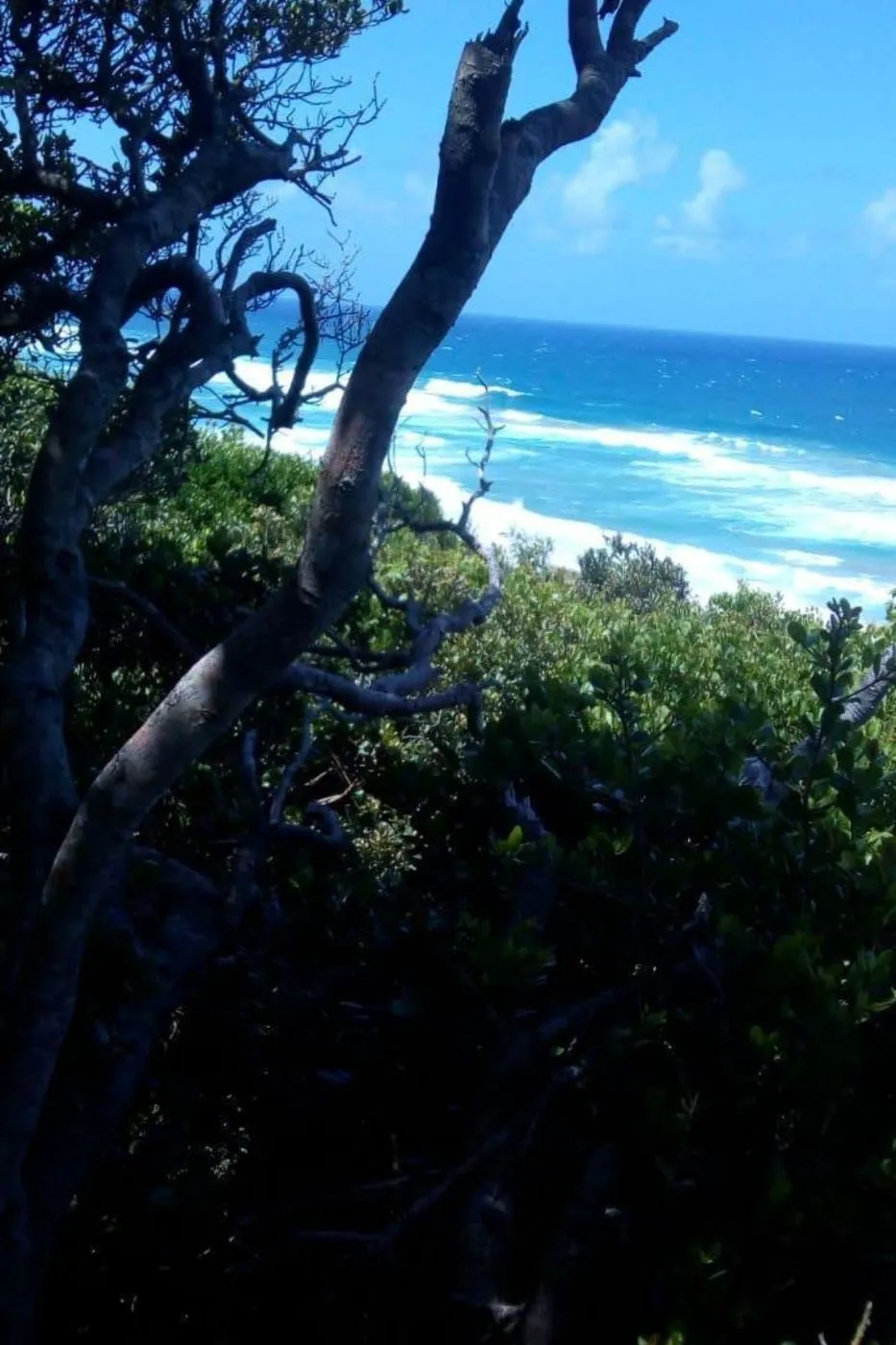 Vacant land for investment in Ponta Malongane, Mozambique - 3MQ1723352 Vacant land for investment in Ponta Malongane, Mozambique - 3MQ1723352