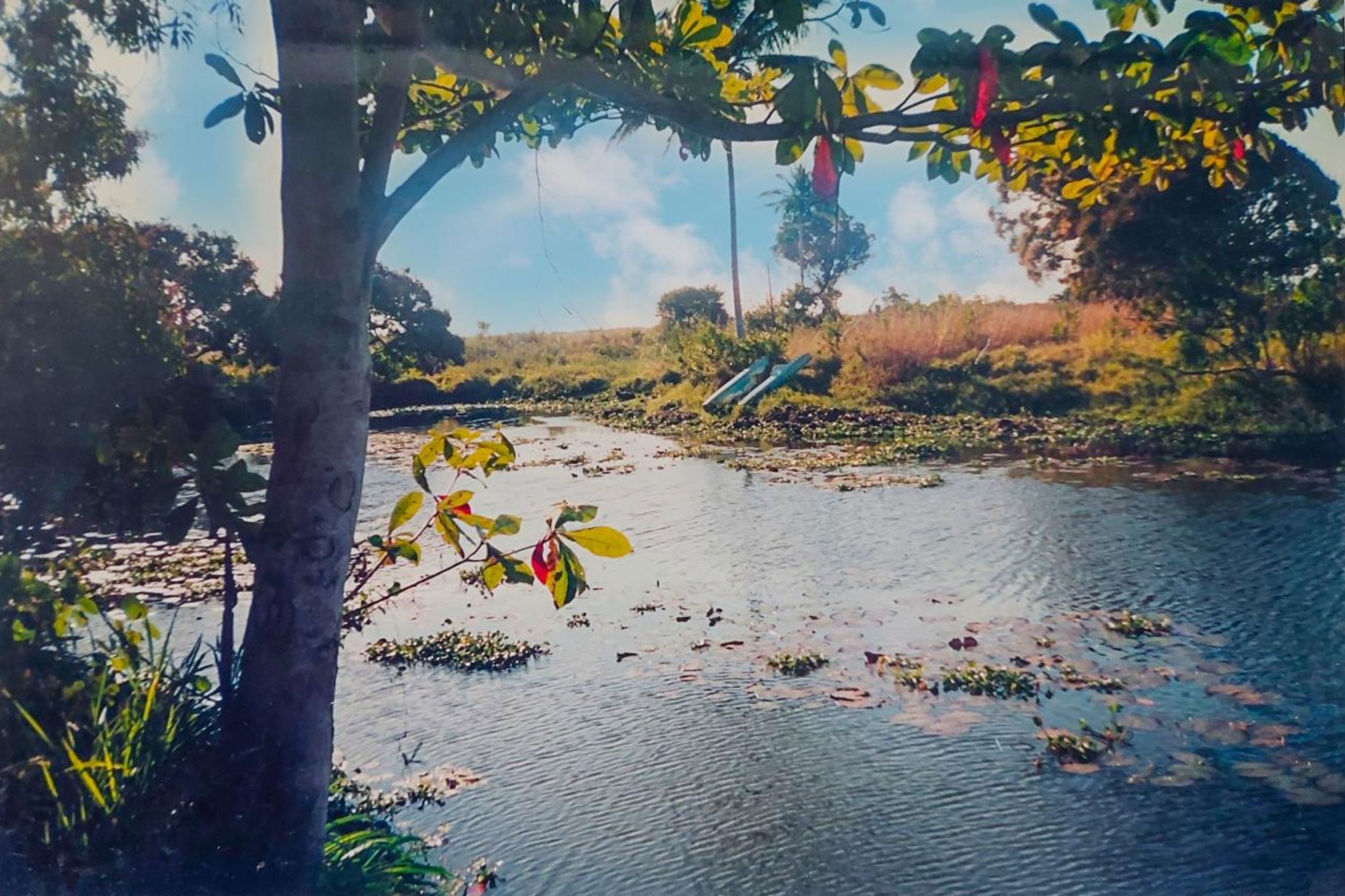 Vacant land for investment in Beira, Sofala, Mozambique - 3MQ1723821