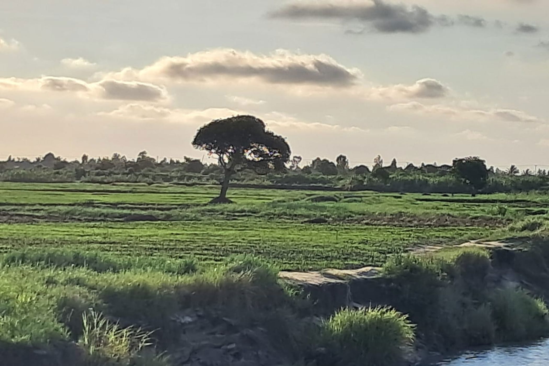 Vacant land for investment in Beira, Sofala, Mozambique - 3MQ1723821