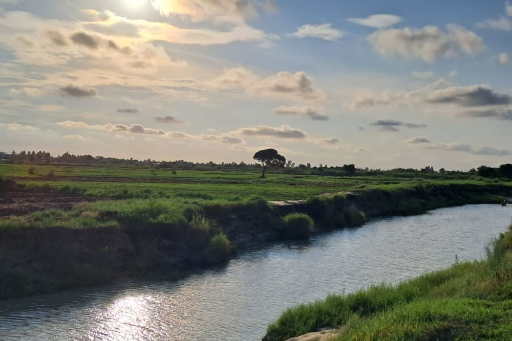 Vacant land for investment in Beira, Sofala, Mozambique - 3MQ1723821 Vacant land for investment in Beira, Sofala, Mozambique - 3MQ1723821