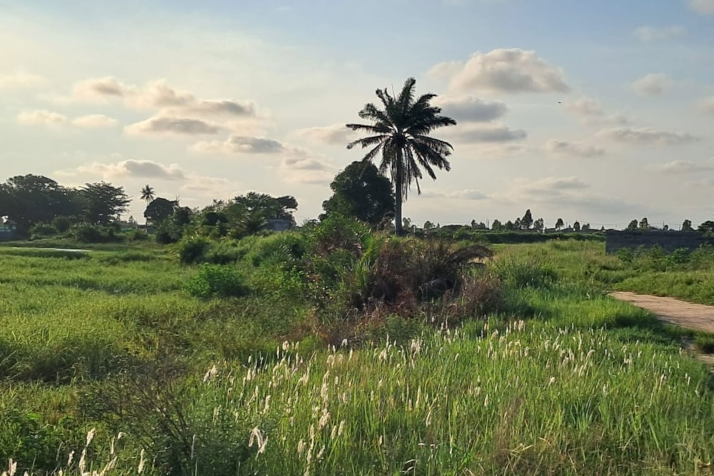Vacant land for investment in Beira, Sofala, Mozambique - 3MQ1723821 Vacant land for investment in Beira, Sofala, Mozambique - 3MQ1723821