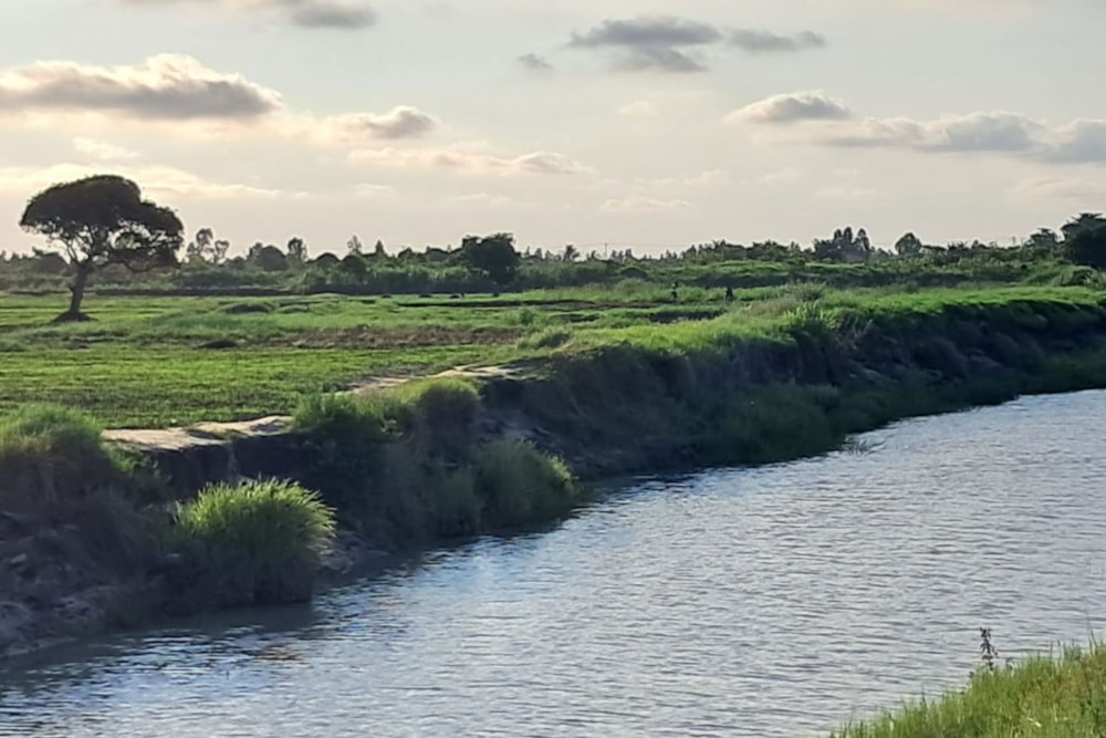 Vacant land for investment in Beira, Sofala, Mozambique - 3MQ1723821 Vacant land for investment in Beira, Sofala, Mozambique - 3MQ1723821