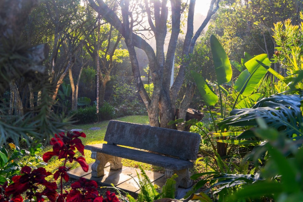 Smallholding for sale in Hoekwil - GEO1721092 Smallholding for sale in Hoekwil - GEO1721092