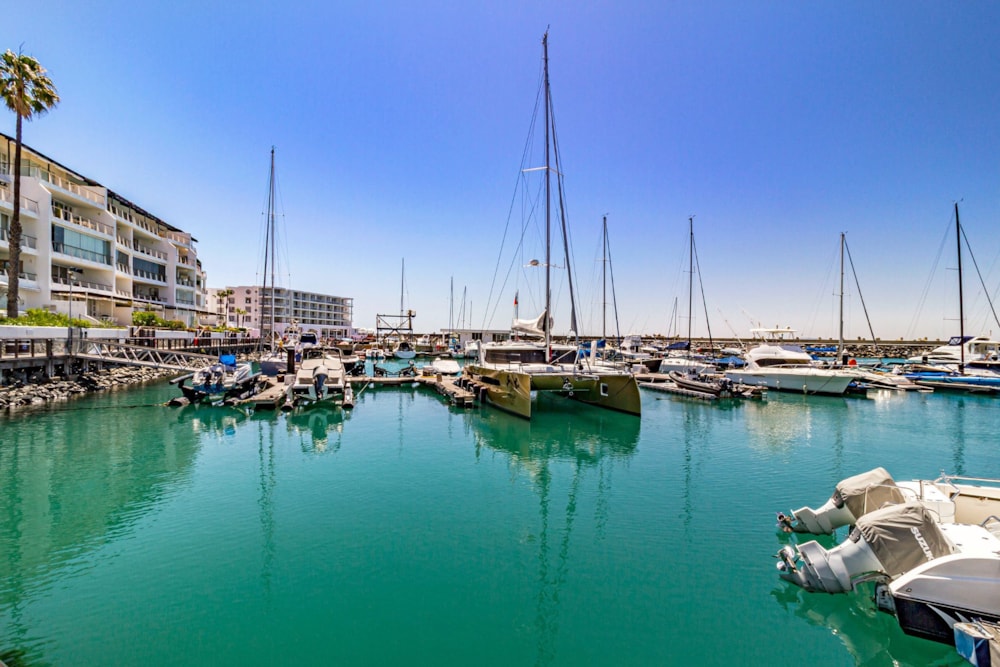 Apartment for sale in Mouille Point - AS1603393 Apartment for sale in Mouille Point - AS1603393