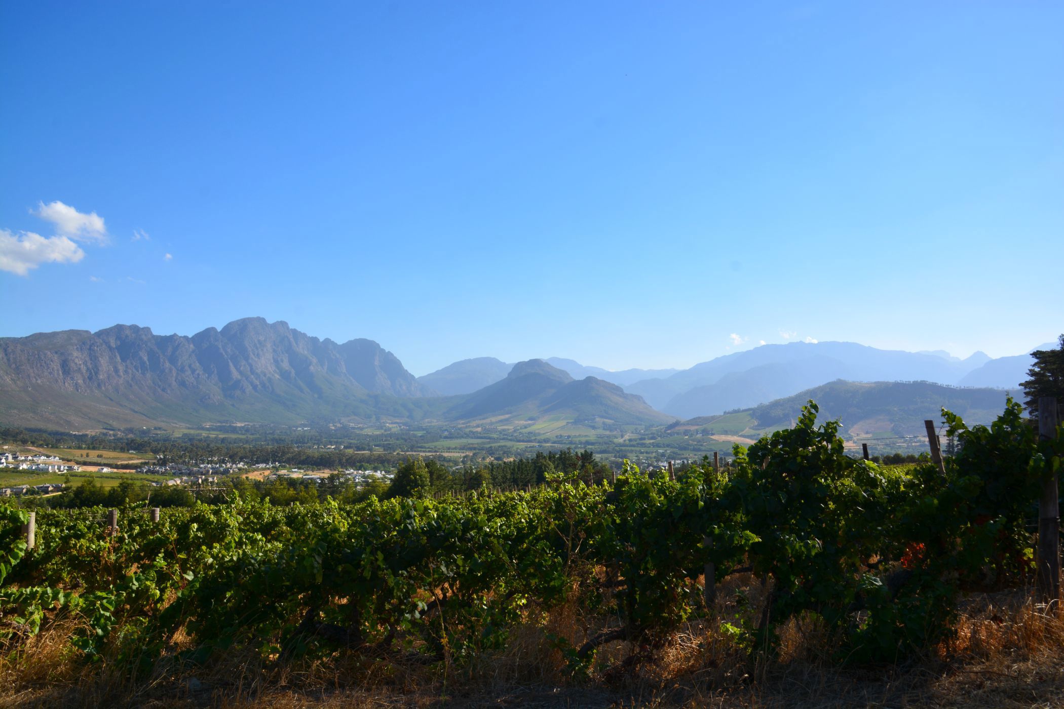 Wine farm for sale in Franschhoek - FWI1659372