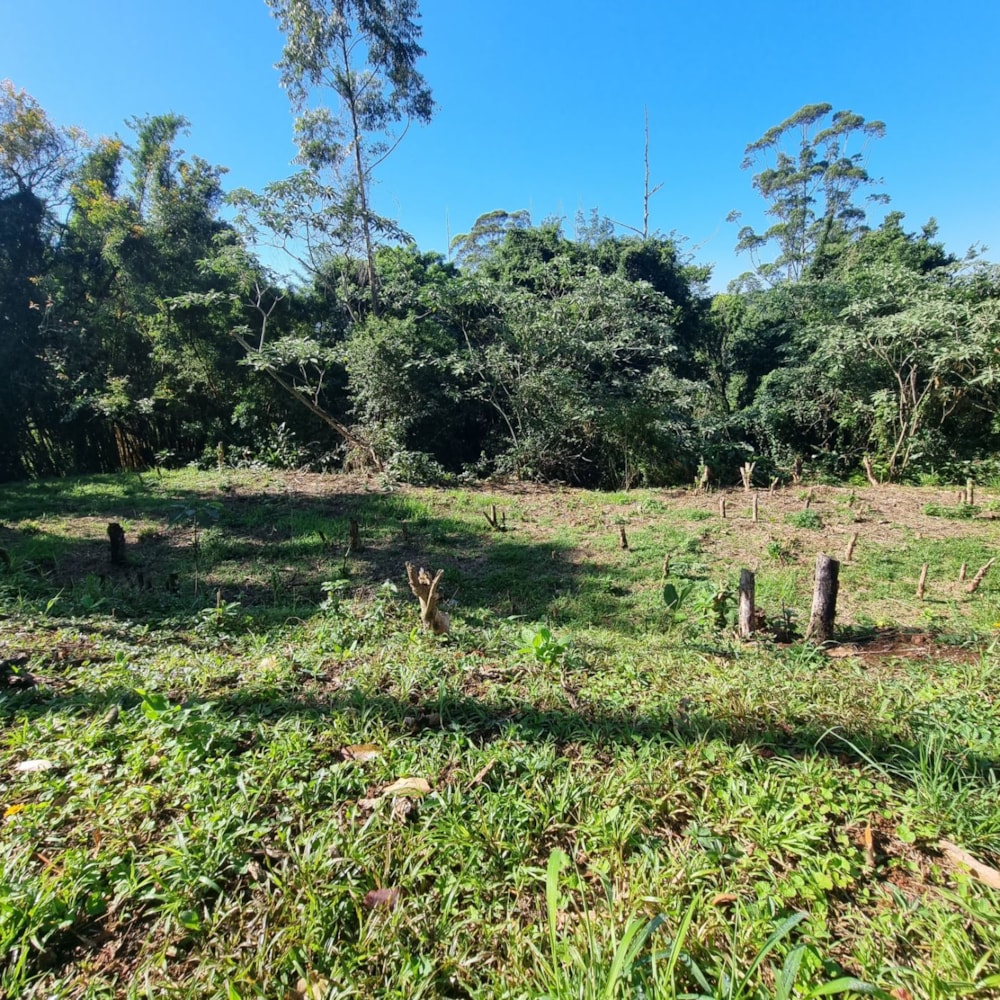 Residential vacant land for sale in Forest Hills - 1KF1722373