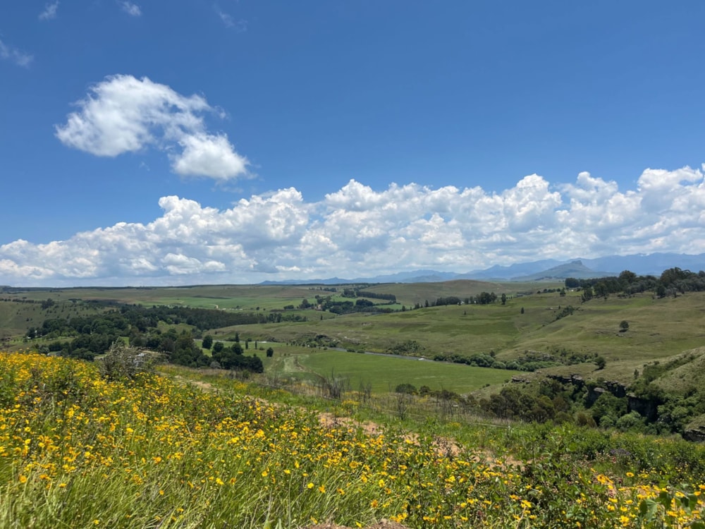 Vacant land for sale in Underberg - 1UB1725430