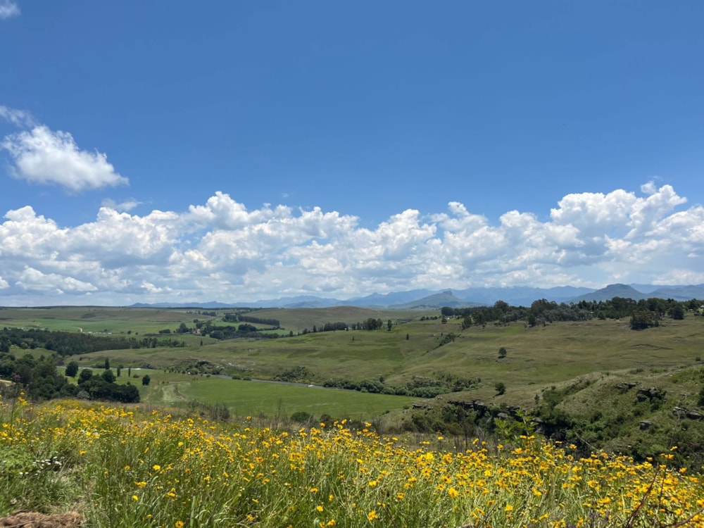 Vacant land for sale in Underberg - 1UB1725430