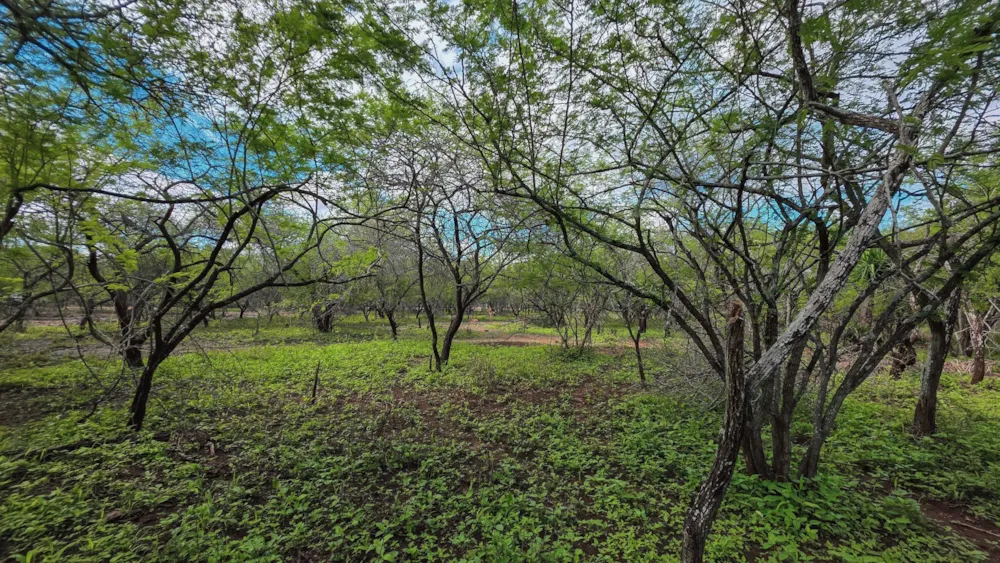 Vacant land for sale in Marloth Park - 1NK1723635 Vacant land for sale in Marloth Park - 1NK1723635