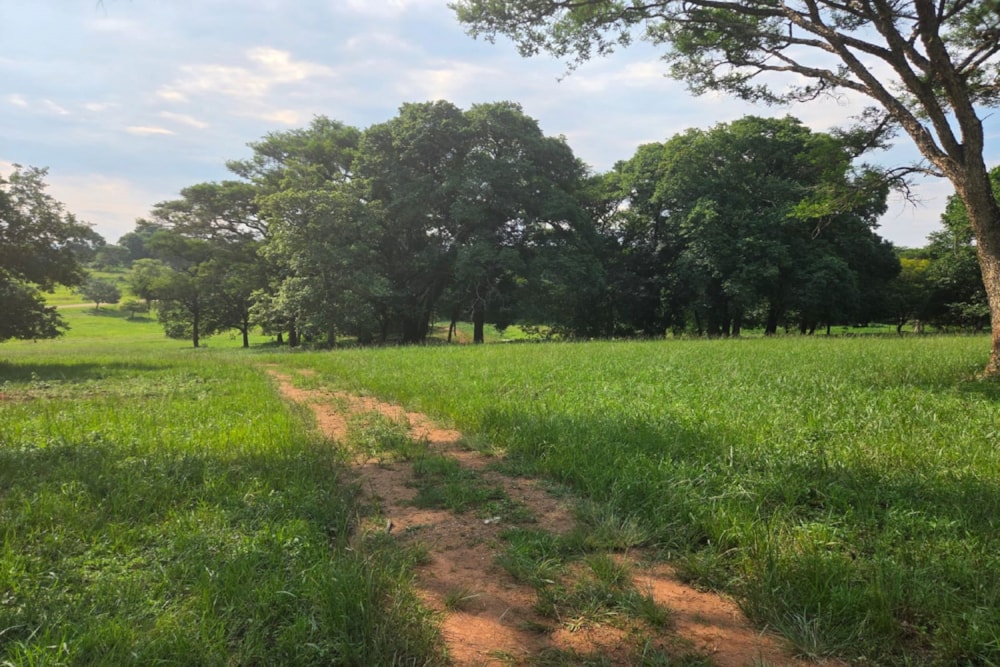 Residential vacant land for sale in Doornhoek - 1TA1724488