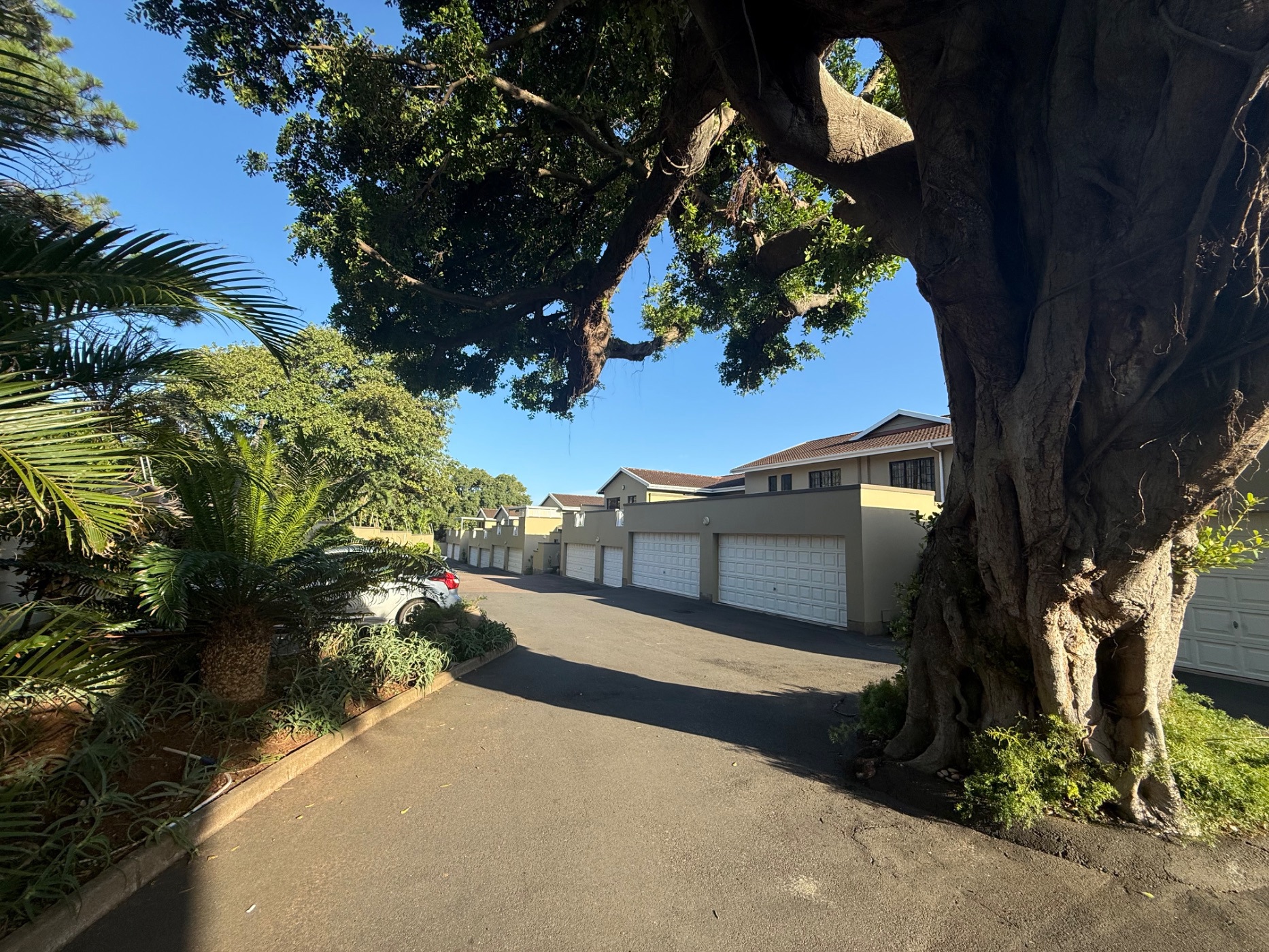 Apartment to rent in Durban North - 1ND1725404