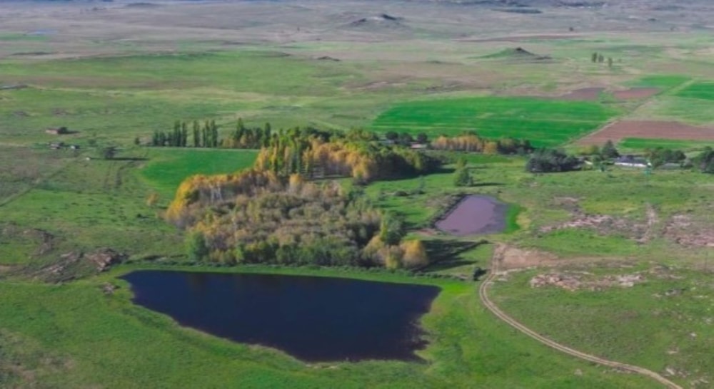 Livestock farm for sale in Dordrecht - 1MH1683818 Livestock farm for sale in Dordrecht - 1MH1683818