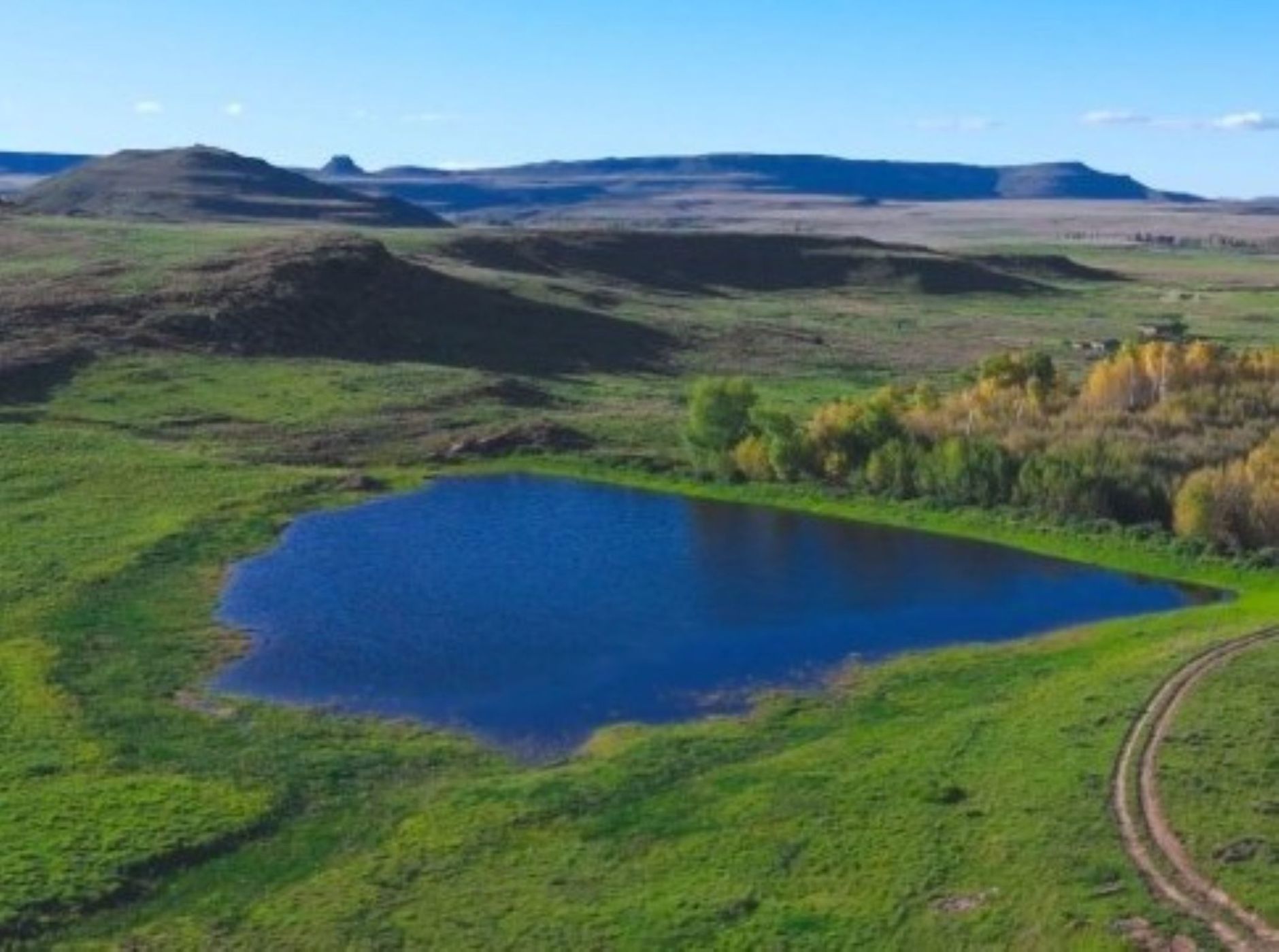 Livestock farm for sale in Dordrecht - 1MH1683818