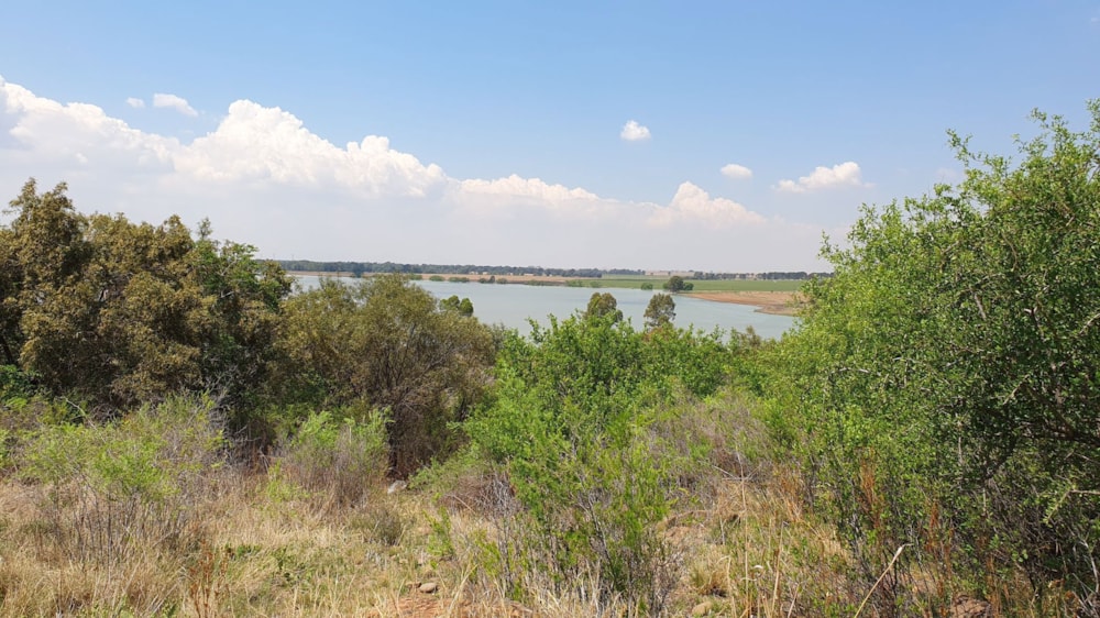 Farm vacant land for sale in Vaal Dam, Free State - 1VT1730411
