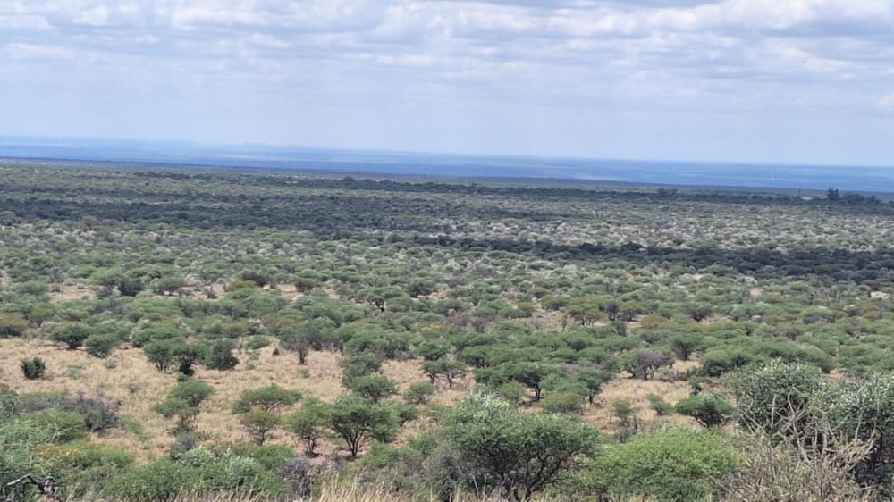 Livestock farm for sale in Douglas Rural - 1KJ1723871