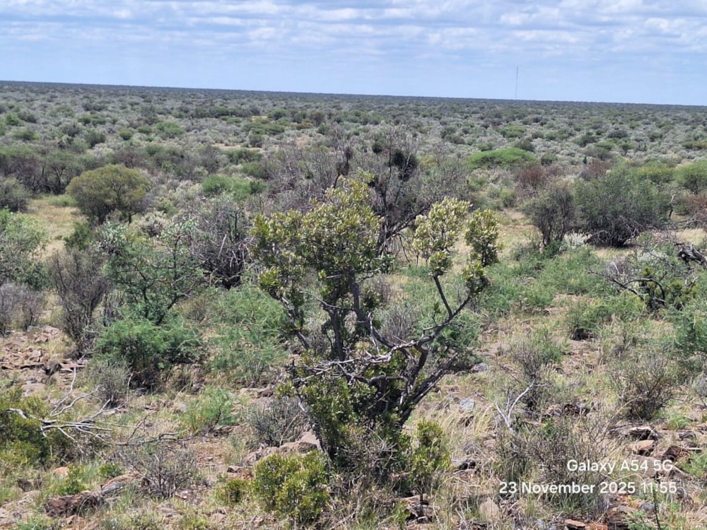 Livestock farm for sale in Douglas Rural - 1KJ1723871