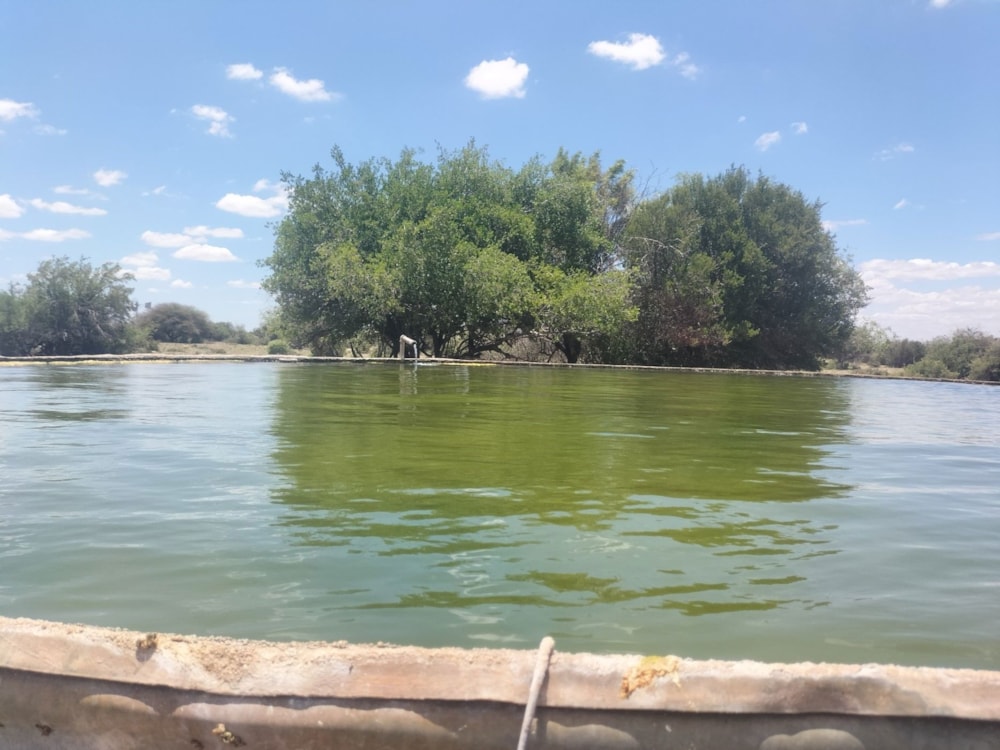 Livestock farm for sale in Douglas Rural - 1KJ1723871