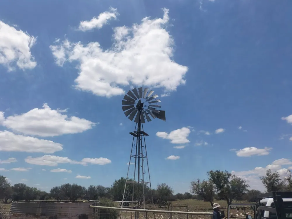 Livestock farm for sale in Douglas Rural - 1KJ1723871 Livestock farm for sale in Douglas Rural - 1KJ1723871