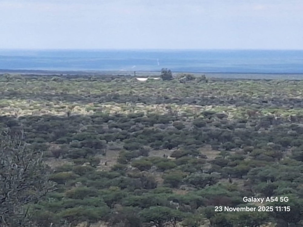 Livestock farm for sale in Douglas Rural - 1KJ1723871