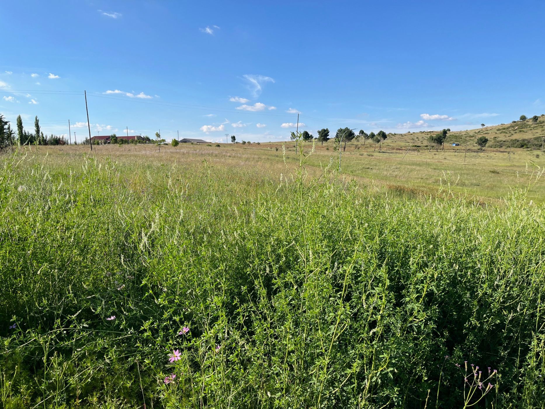 Vacant land for sale in Fouriesburg - 1CS1723628