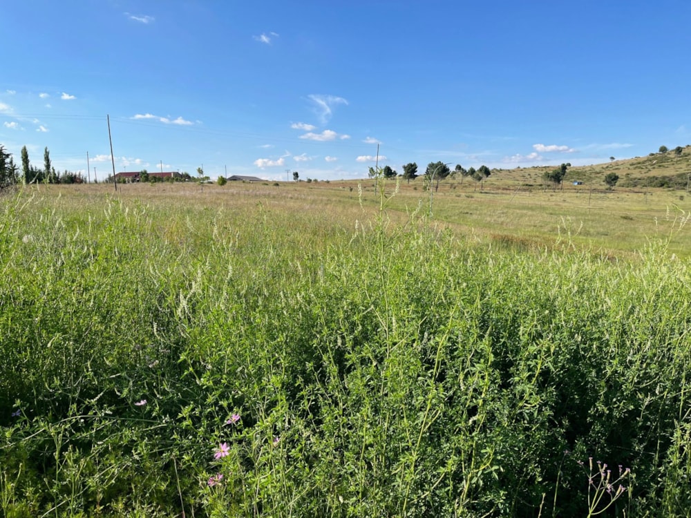 Vacant land for sale in Fouriesburg - 1CS1723628 Vacant land for sale in Fouriesburg - 1CS1723628