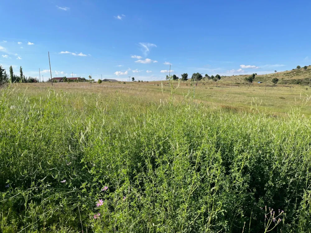 Vacant land sold in Fouriesburg - 1CS1723628 Vacant land sold in Fouriesburg - 1CS1723628