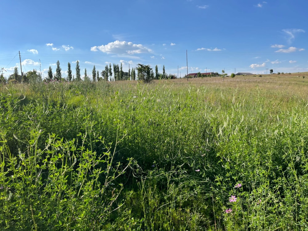 Vacant land for sale in Fouriesburg - 1CS1723632 Vacant land for sale in Fouriesburg - 1CS1723632