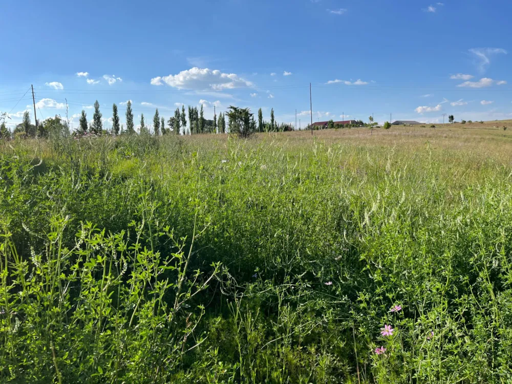 Vacant land sold in Fouriesburg - 1CS1723632 Vacant land sold in Fouriesburg - 1CS1723632