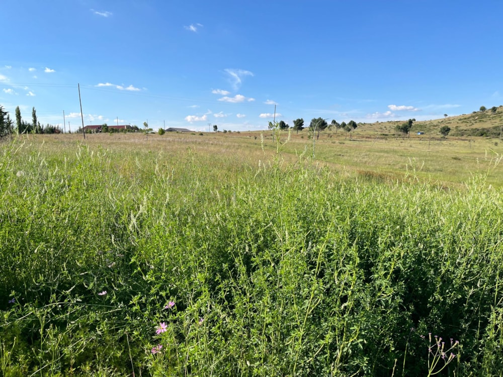 Vacant land for sale in Fouriesburg - 1CS1723632 Vacant land for sale in Fouriesburg - 1CS1723632